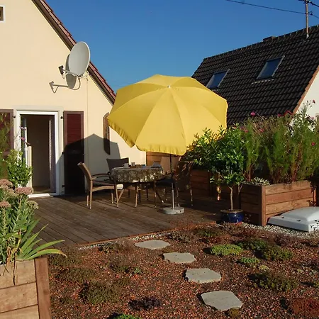 Terrassenwohnung Neustadt an der Weinstraße Exterior foto