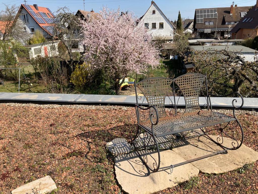 Terrassenwohnung Apartment Neustadt an der Weinstraße