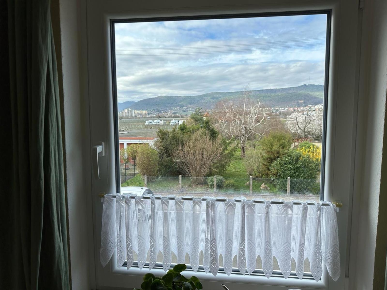 Terrassenwohnung Neustadt an der Weinstraße